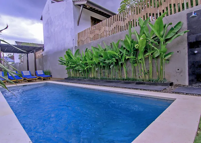 Delu & 4* Kerobokan